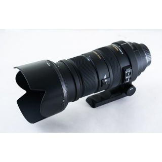 シグマ(SIGMA)のシグマAPO 50-500mm F4.5-6.3 DG OS HSM キャノン用(レンズ(ズーム))