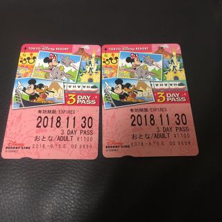 ディズニー(Disney)のディズニーリゾートライン 3DAY PASS 2枚(遊園地/テーマパーク)