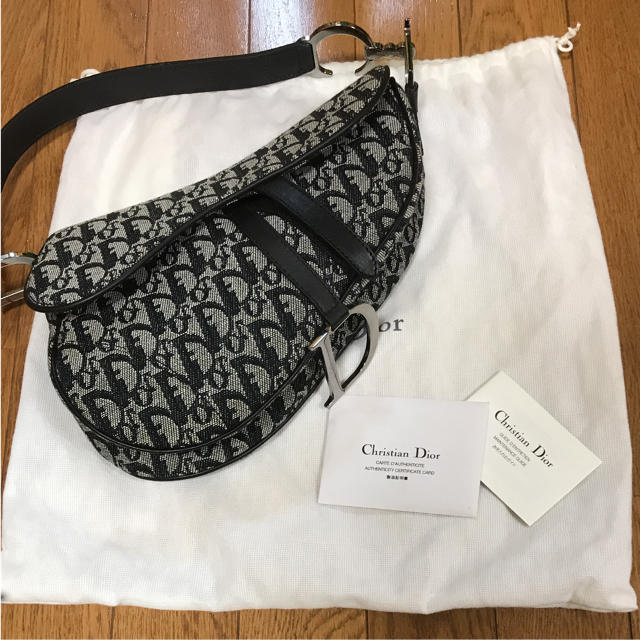 サドルバッ 【値下げ】【希少品】Dior ディオール サドルバック ンディオー