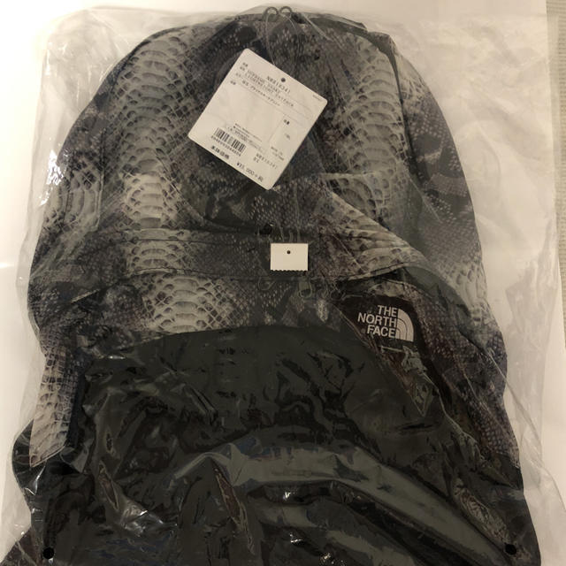 Supreme The North Face Snake Day Pack