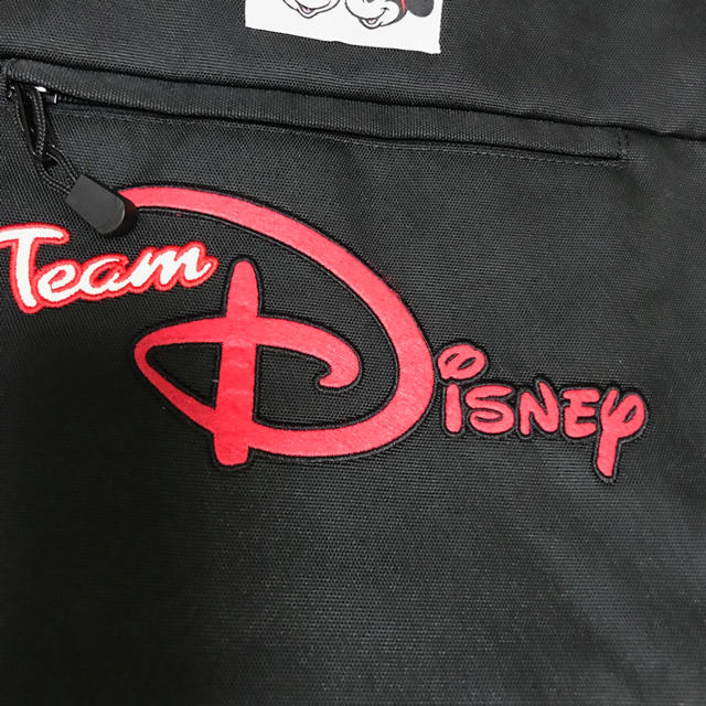Disney(ディズニー)のTDR  チームディズニーリュック レディースのバッグ(リュック/バックパック)の商品写真
