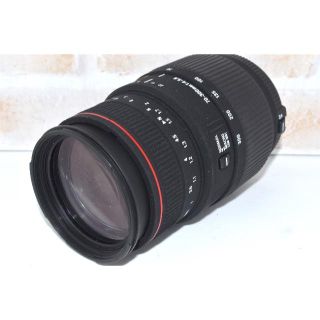 シグマ(SIGMA)のシグマ APO DG 70-300mm F4-5.6 Nikon ニコン用(レンズ(ズーム))