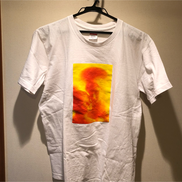 Supreme Piss Christ Tee Andres Serrano 3