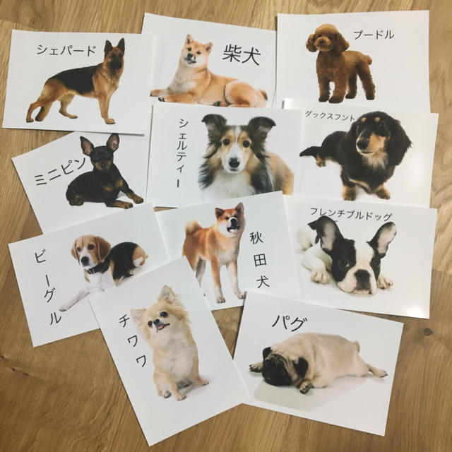 犬種カード 結婚式の席札にの通販 By Ya06su03 ラクマ 犬種カード 結婚式の席札にの通販 By Ya06su03 ラクマ