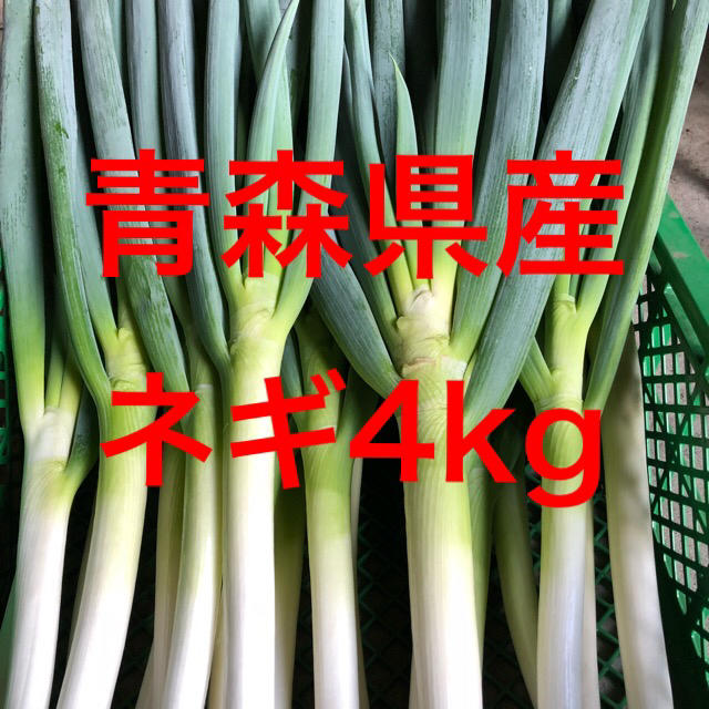 青森県産土付きネギ【白ネギ】4kg 食品/飲料/酒の食品(野菜)の商品写真