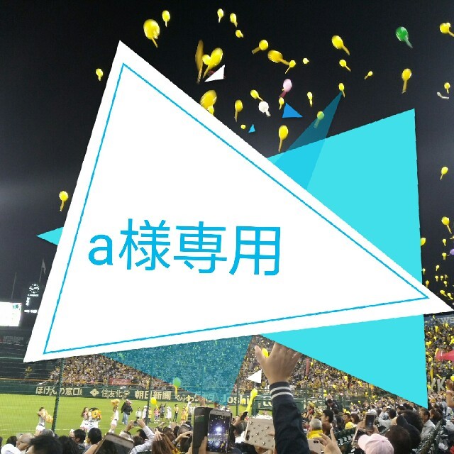 【先行入場特典】10/6(土)vs.DeNA Gシート中段 ペア【雨補有】