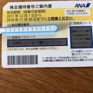 エーエヌエー(ゼンニッポンクウユ)(ANA(全日本空輸))のANA株主優待券(その他)