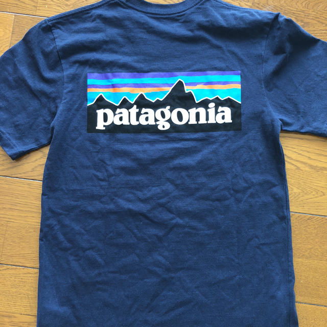 patagonia(パタゴニア)のパタゴニア Tシャツ レディースのトップス(Tシャツ(半袖/袖なし))の商品写真