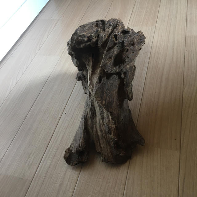 香木 沈香