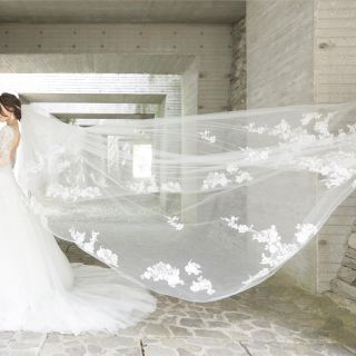 Pronovias プロノビアス ウェディングドレス ロングベール付ウェディングドレス