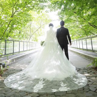 Vera Wang - プロノビアス pronovias ロングベール ウェディング
