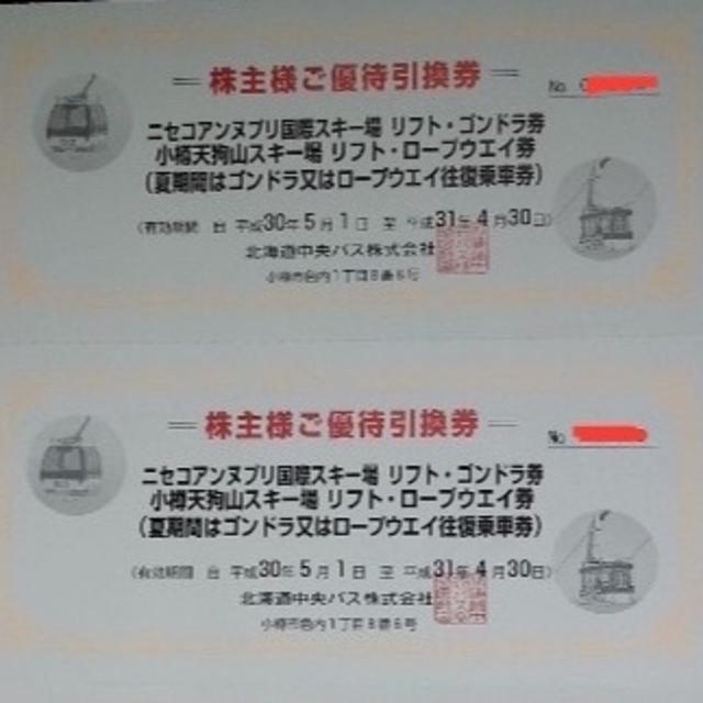 はは様専用》ニセコアンヌプリ国際スキー場リフトゴンドラ券 はは様専用》ニセコアンヌプリ国際スキー場リフトゴンドラ券