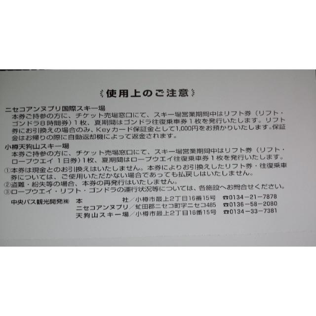 はは様専用》ニセコアンヌプリ国際スキー場リフトゴンドラ券 はは様専用》ニセコアンヌプリ国際スキー場リフトゴンドラ券