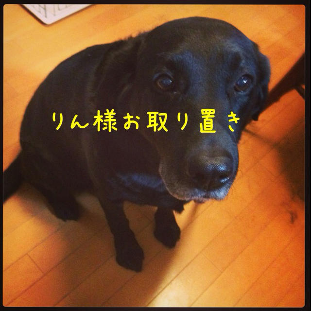 @そらさま　お取り置き　9点 そらさまお取り置き9点