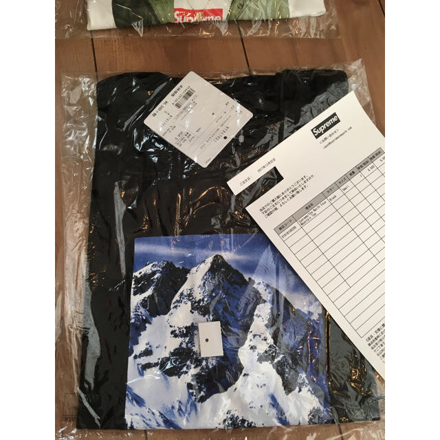 Supreme the north face mountain tee