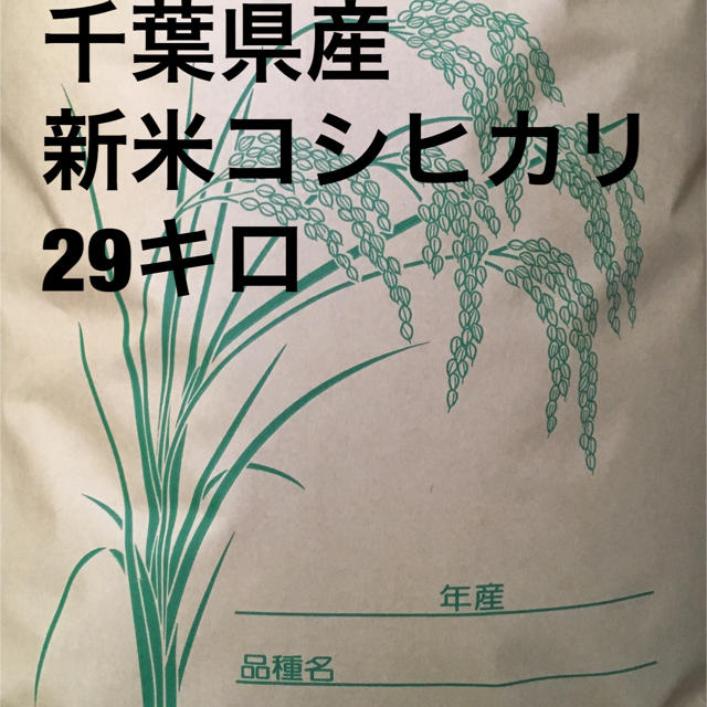 30年新米コシヒカリ玄米29㎏　米/穀物