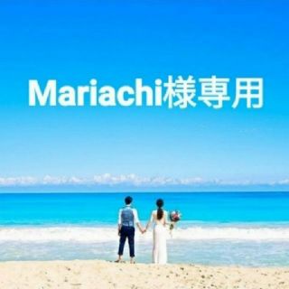 Mariachi様専用(その他)