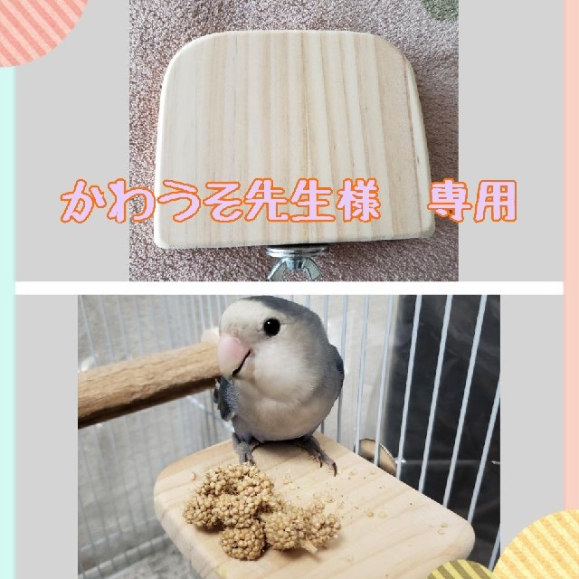 かわうそ先生様、専用ページ その他のペット用品(鳥)の商品写真