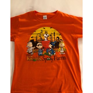 スヌーピー(SNOOPY)のスヌーピー  ナッツベリーファーム Tシャツ Mサイズ(Tシャツ(半袖/袖なし))