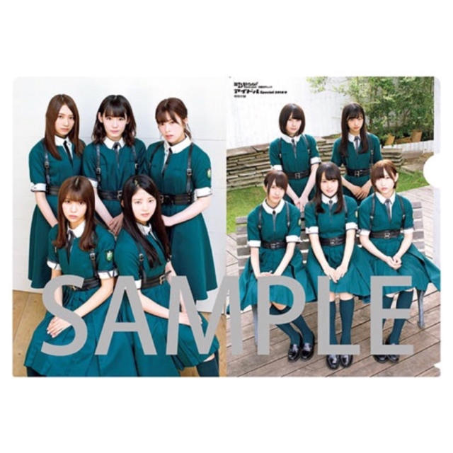 欅坂46(けやき坂46)(ケヤキザカフォーティーシックス)の欅坂46 ファイル まとめ売り エンタメ/ホビーのタレントグッズ(アイドルグッズ)の商品写真