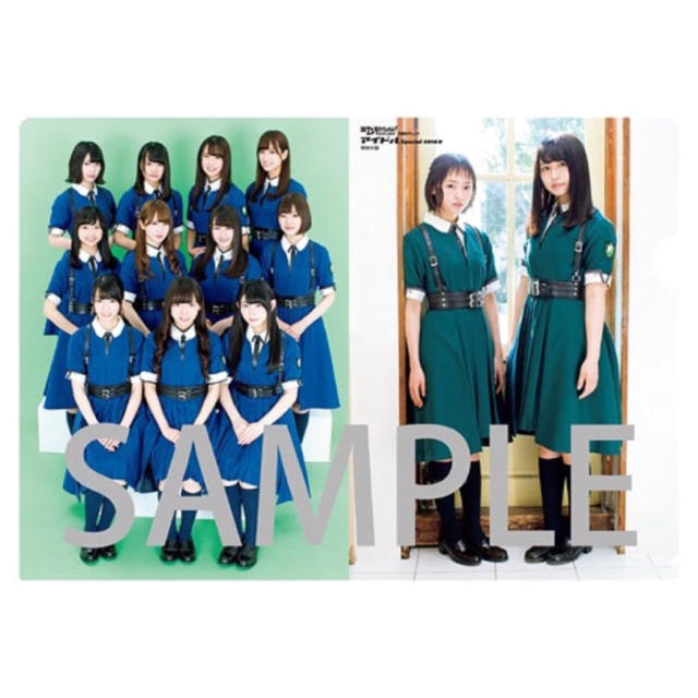 欅坂46(けやき坂46)(ケヤキザカフォーティーシックス)の欅坂46 ファイル まとめ売り エンタメ/ホビーのタレントグッズ(アイドルグッズ)の商品写真