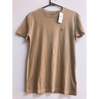 アメリカンイーグル(American Eagle)のアメリカンイーグル Ｔシャツ 新品(Tシャツ/カットソー(半袖/袖なし))