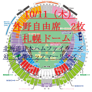 10/11（木） 日本ハムファイターズ VS千葉ロッテ 札幌ドーム 外野自由席(野球)