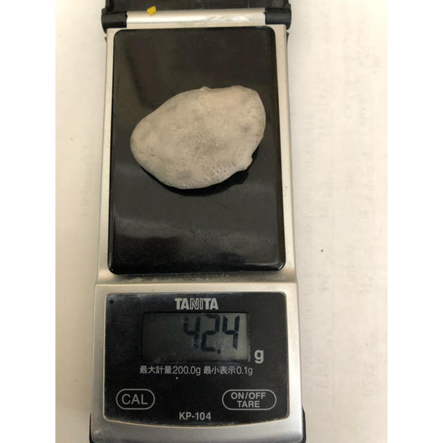 歯科用金パラ 溶解再生品 42.4g コスメ/美容のオーラルケア(その他)の商品写真