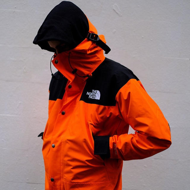 THE NORTH FACE 1990 mountain GTX jacket