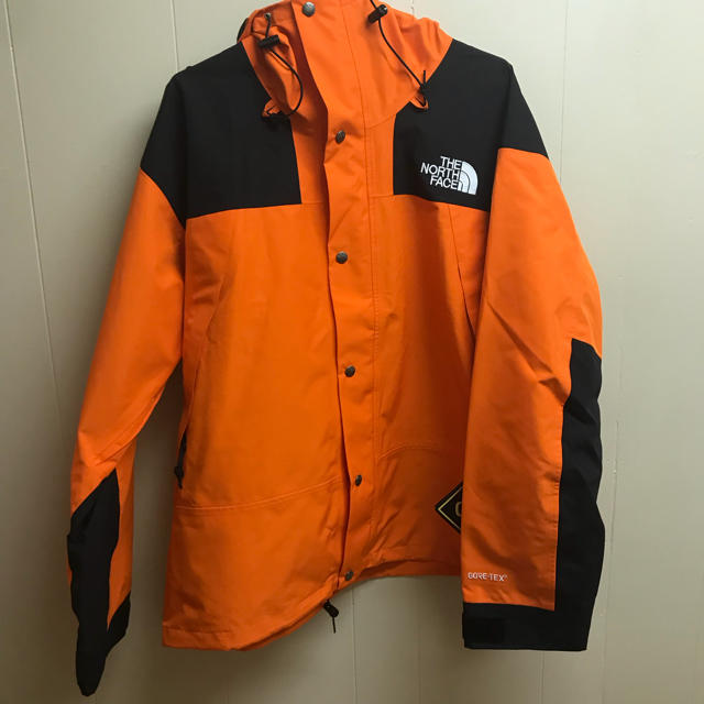 THE NORTH FACE(ザノースフェイス)のTHE NORTH FACE 1990 mountain GTX jacket メンズのジャケット/アウター(マウンテンパーカー)の商品写真