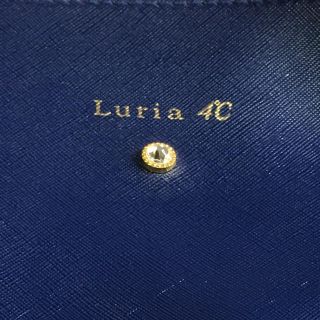 ヨンドシー(4℃)のLURIA 4℃  ミニバック 付録(ハンドバッグ)