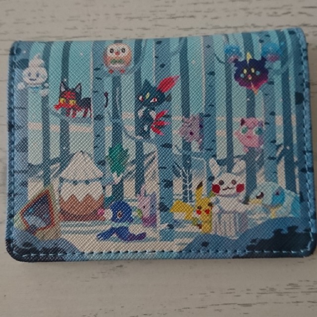 ポケモン(ポケモン)の専用☆ポケモンパスケース   冬のかくれんぼ   新品 エンタメ/ホビーのおもちゃ/ぬいぐるみ(キャラクターグッズ)の商品写真