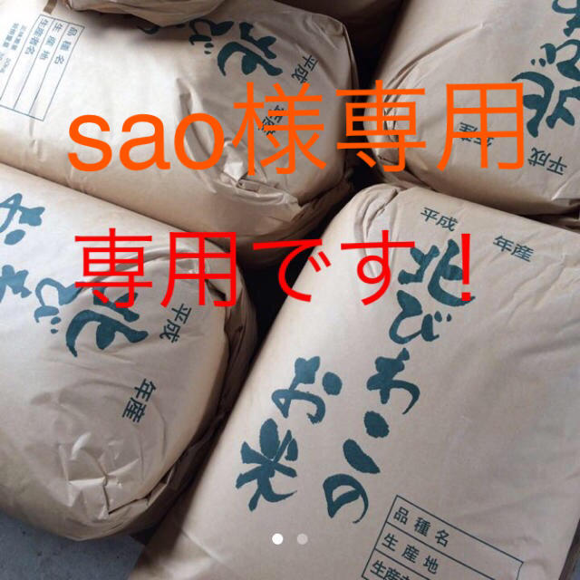 コシヒカリ30kg　米/穀物