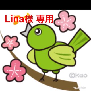  Lina様 確認用(マタニティ下着)