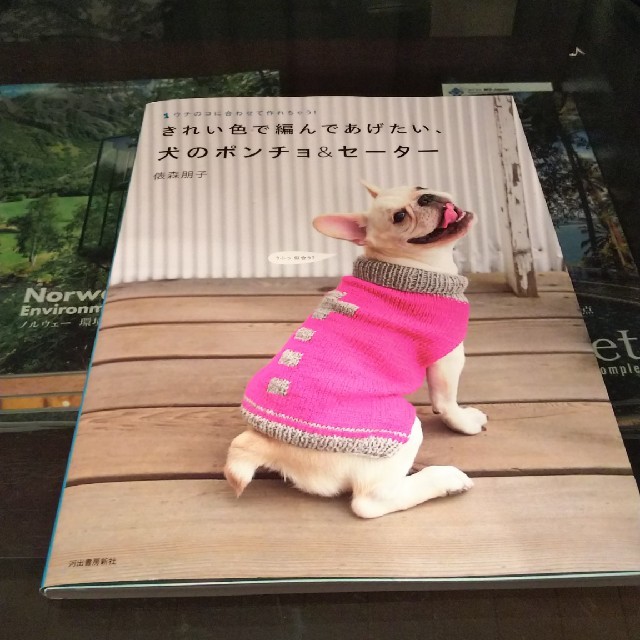 新品 犬のポンチョ セーター 編み物の通販 By のりまき S Shop ラクマ