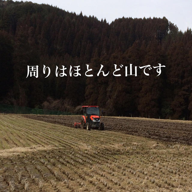 みなとも様専用 25キロ分精米小分けなし