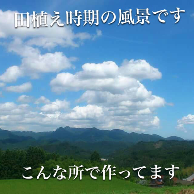 銀座正規取扱店 ☆ししまる0614様専用 25キロ分精米小分けなし | www