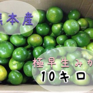 熊本極早生みかん箱込み10キロ送料無料(フルーツ)