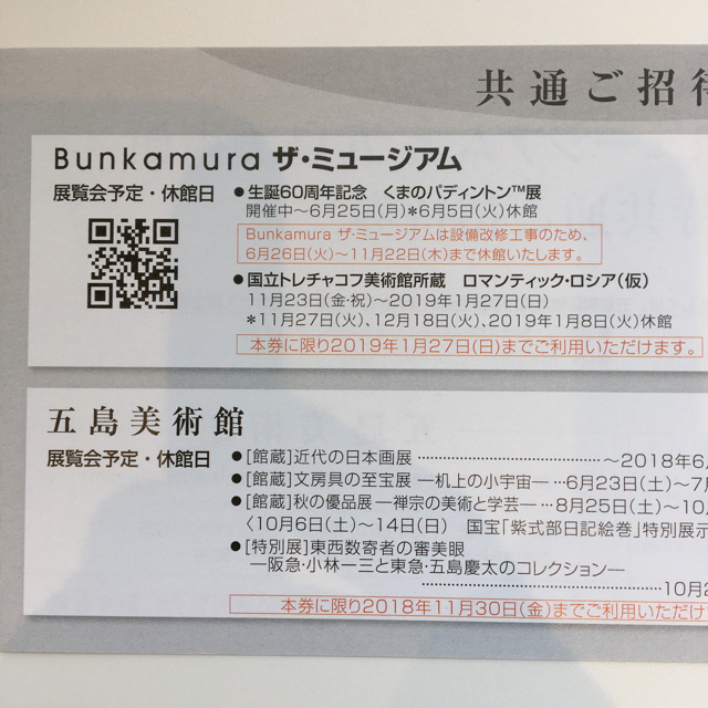 招待券１枚✨トレチャコフ美術館所蔵 ロマンティック・ロシア展✨五島美術館も適用 チケットの施設利用券(美術館/博物館)の商品写真