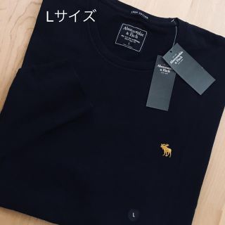 アバクロンビーアンドフィッチ(Abercrombie&Fitch)のTK様専用★Abercrombie【L】人気メンズ定番ゴールドアイコン刺繍ロンT(Tシャツ/カットソー(七分/長袖))