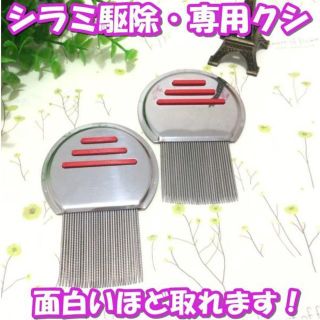 しらみ取りくし　（ノーブランド品）(ヘアブラシ/クシ)