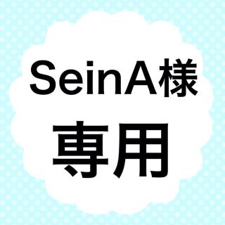 SeinA様専用(その他)