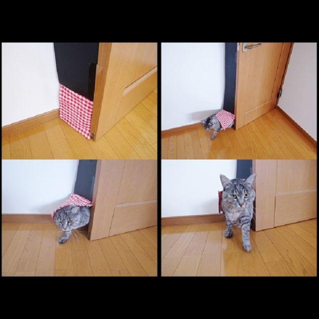 猫用ドア 出入り口 作成キット 貼るだけニャンです ねこドア 扉 ペットドアの通販 by NECOfreedom｜ラクマ