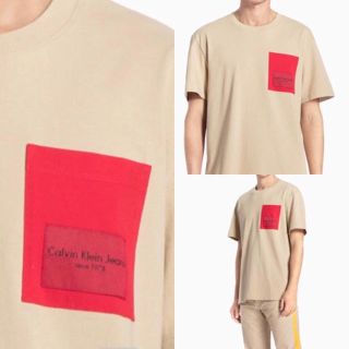 カルバンクライン(Calvin Klein)のカルバンクライン Tシャツ   Lサイズ(Tシャツ/カットソー(半袖/袖なし))