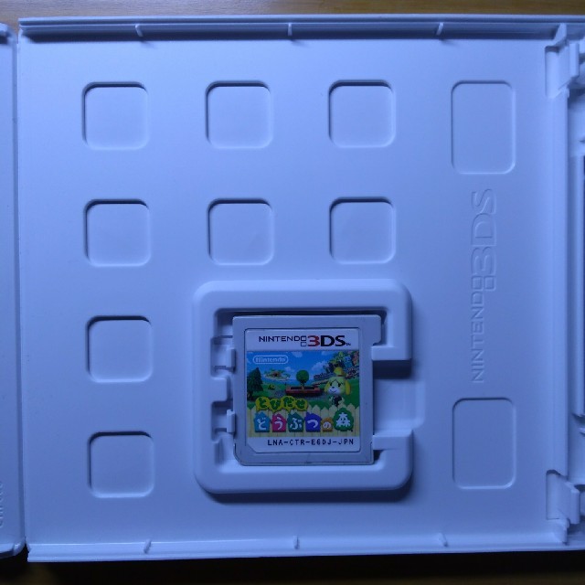 ニンテンドー3DS(ニンテンドー3DS)の3DS とびだせどうぶつの森 エンタメ/ホビーのゲームソフト/ゲーム機本体(家庭用ゲームソフト)の商品写真