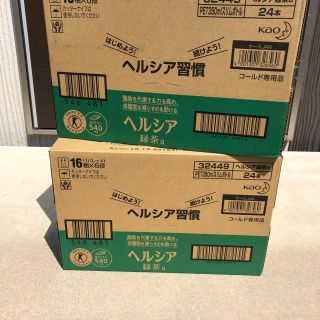 カオウ(花王)の花王 ヘルシア緑茶 350ml×24本 2ケース トクホ、特茶(健康茶)