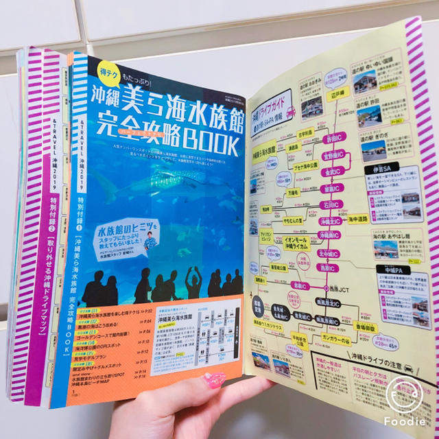 朝日新聞出版(アサヒシンブンシュッパン)の沖縄 ガイドブック 2019 エンタメ/ホビーの本(地図/旅行ガイド)の商品写真