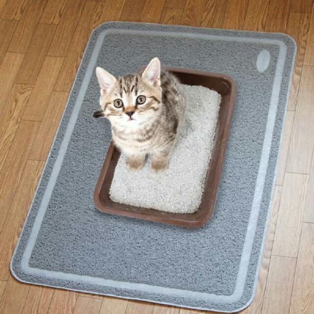 値下げ！ 猫♡ マット その他のペット用品(猫)の商品写真