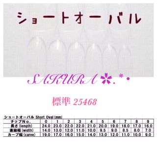 オーダー☆ネイルチップ B1〜B60 コスメ/美容のネイル(つけ爪/ネイルチップ)の商品写真