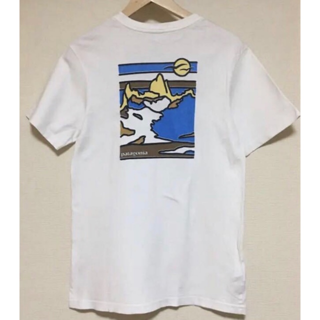 【レア品】パタゴニア オーガニックTシャツ Sサイズ Tシャツ